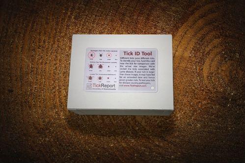 Tick Identification Card