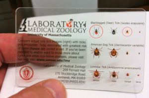 Tick Identification Card